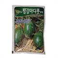 Korean Hybrid Green Pumpkin