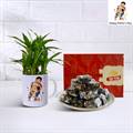 Lucky Bamboo with Father's Day Mug & Sugarless Anjeer Mithai Cubes