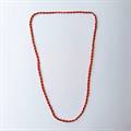 Mini Red & Golden Potey