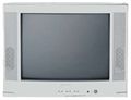 Philips 21 inch Real Flat TV (21PT2110)