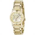 DKNY Watch (ny4520)