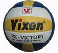 Vixen Volleyball