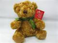 Shy  teddy Bear