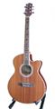 Focus Acoustic Guitar With Equlizer