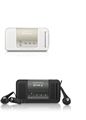 Sony Ericsson Mobile (R306)