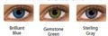 Fresh Look Contact Lenses of Different Colors With Different Powers