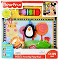 Fisher Price Discover And Grow Musical Activity Play Wall (W3131)