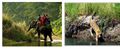 2 Night 3 Days Vacation Package ( Kathmandu-Chitawan-Kathmandu)