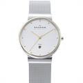 Skagen Men's 355LGSC Two-Tone Mesh Band Watch