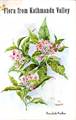 FLORA FROM KATHMANDU VALLEY