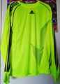 Light Green Goalkeeper Jersey (Premium Quality)