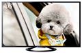 Sony Bravia 46 Inch Smart LED TV (KDL 46W704A)
