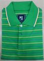 Peter England Men's Parrot Green Stripe Polo T-Shirt (PKP31400044)