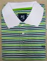 Peter England Men's Green Stripe Polo T-Shirt (PKP31400017)
