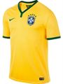 FIFA World Cup Brazil National Football Jersey  (Made in Thailand)
