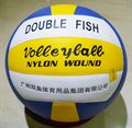 Double Fish Volleyball