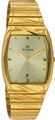 Titan Gents Watch (9315YM02)