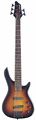 5 String Fusion Electric Bass Guitar (Stagg BC300/5 SB )
