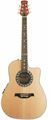 ACOUSTIC GUITAR (A4006-N)