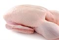 Frozen Whole Chicken  (900 gm) CP (Thailand)