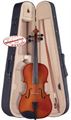 Palatino Campus Violin Outfit, VN-350 1/4