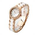 DKNY Women's Watch NY8141