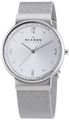Skagen SKW2152 Ladies Silver Klassik Mesh Watch