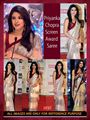 "PRIYANKA CHOPRA"Celebrity saree in net with sequine work .(n70)