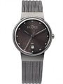 Skagen Ladies Steel Mesh Bracelet Watch 355SMM1
