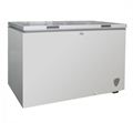 Walton 300 Ltr Deep Freezer (FC-3J0)