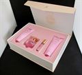 Pink temptation gift set perfume for women (20193D)