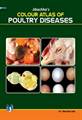 JIBACHHA'S COLOUR ATLAS OF POULTRY DISEASES