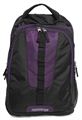 American Tourister  Buzz Backpack 04 Black / Purple