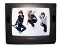Sansui 14 Inch CRT TV (SPW14NM)