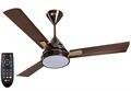 Orient Spectra Under Light Ceiling Fan