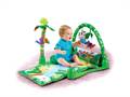 Fisher Price Musical Gym (L1664)