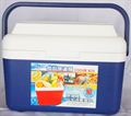 Ice Cooler Box (8 L)