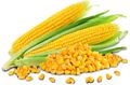 Sweet corn 1kg