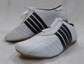 Taekwondo Shoes