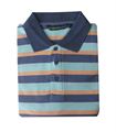 Springwood Blue Polo T-shirt <br>!!! 50 % Heavy Discount Offer !!!