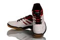 Kawasaki Badminton Shoes