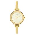 Titan Raga Viva Champange Dial Analog Watch for Women - 2575YM01