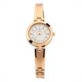 Titan Karishma Analog Silver Dial Women's Watch-2598WM01