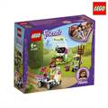 LEGO Friends Olivia’s Flower Garden- 92 Pieces (41425)