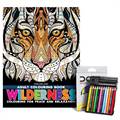 Dreamland Adult Coloring Book Wilderness & DOMS Half-size Color Pencils (12 Shades)