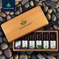 Everest Aroma Life Anti-flu Kit (5 ml each) - Organic Essential Oils