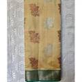 Cotton Sari 17-24-04