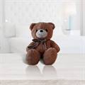 Sweet Brown Archies Teddy (1.5 ft)