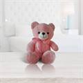 Blush Pink Archies Teddy (1.5 ft)