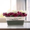 Charming Daisies Basket - Personalized Message